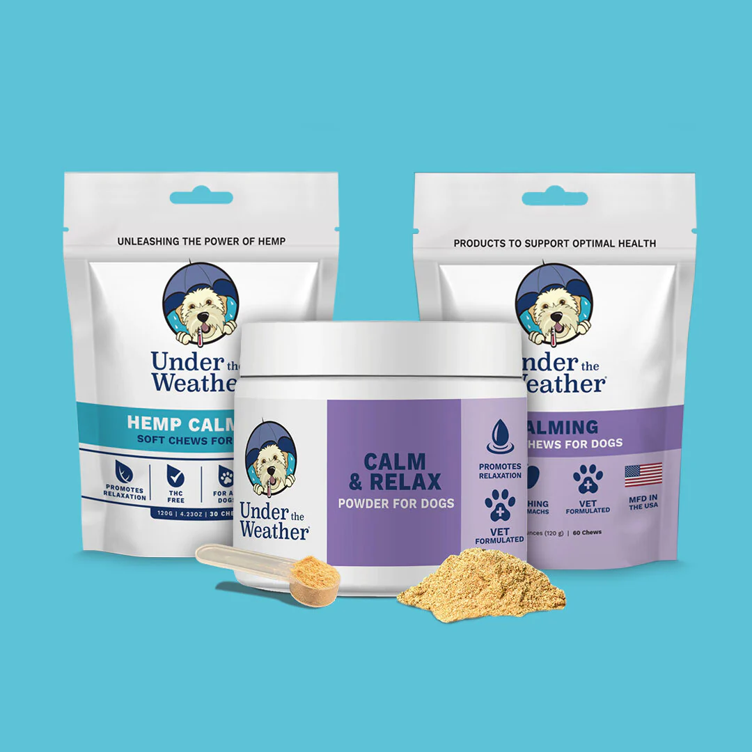 best-calming-chews-supplements-treats-dogs-puppies-cats